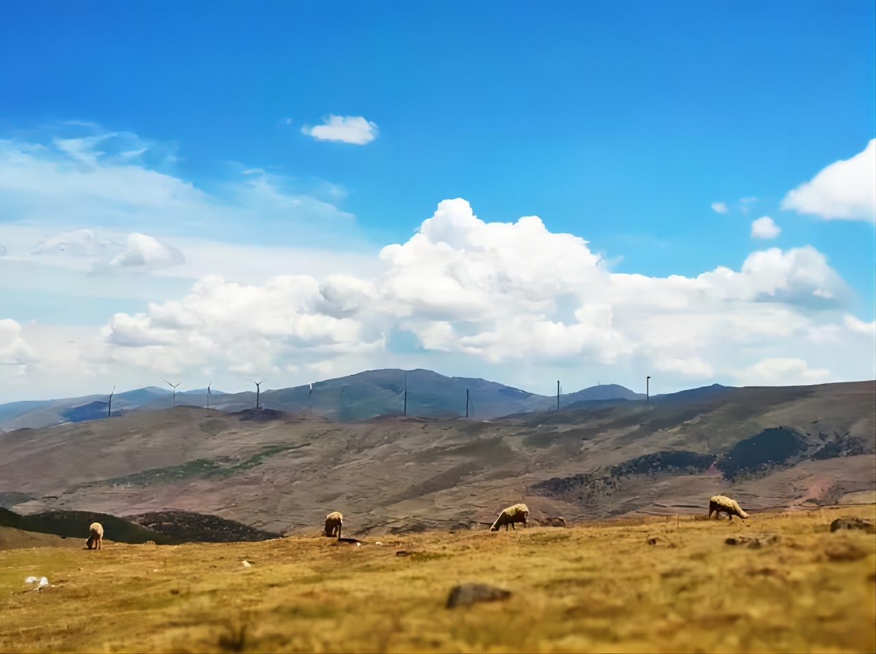 BWSENSING Builds A Solid Line Of Defense For Disaster Prevention And Reduction