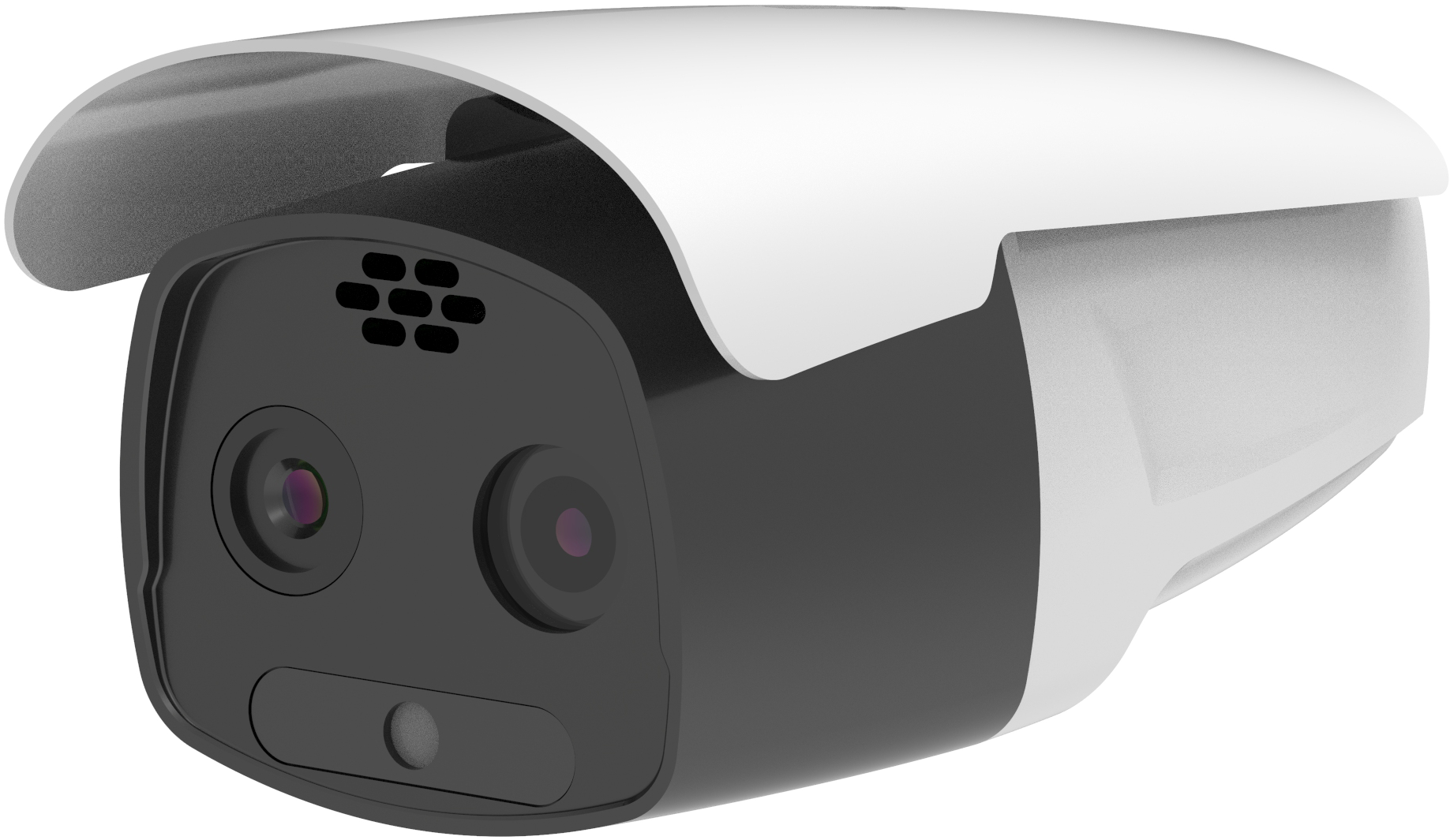Dual-spectrum Tube Camera