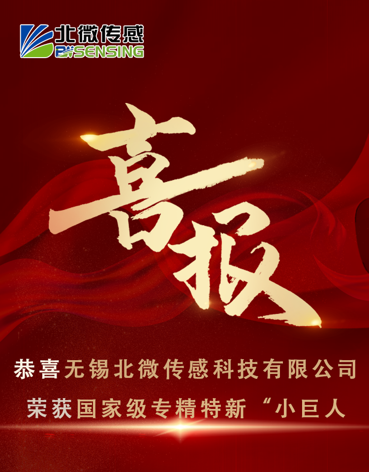 BWSENSING Has Been Awarded the National-level ‘Little Giant’ Designation.